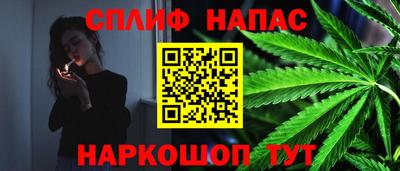 шишки Ефремов